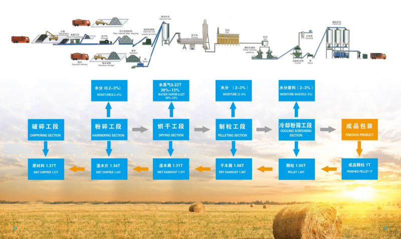 金年会宣传册_13 - 副本.png